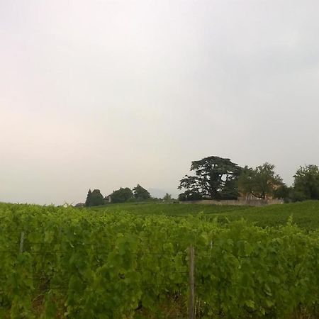 Château La Violette Les Marches Exterior foto