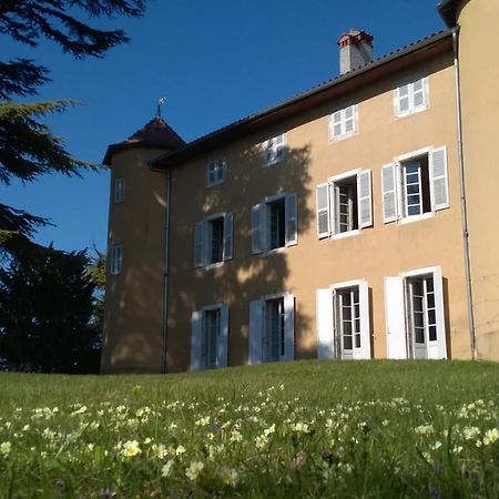 Château La Violette Les Marches Exterior foto