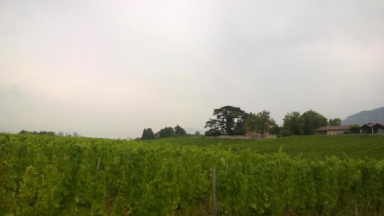 Château La Violette Les Marches Exterior foto