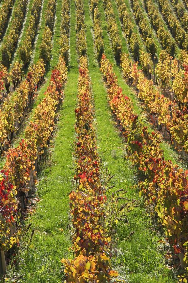 Château La Violette Les Marches Exterior foto